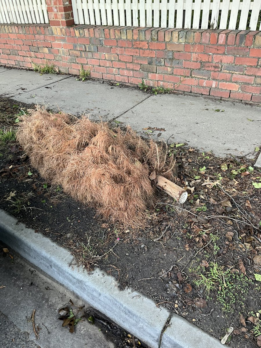 Paul Dobson tweet media