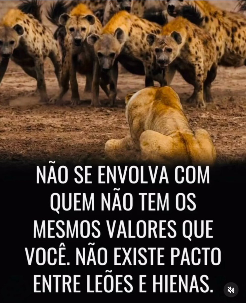 Alexandre (@alexand85081112) on Twitter photo 