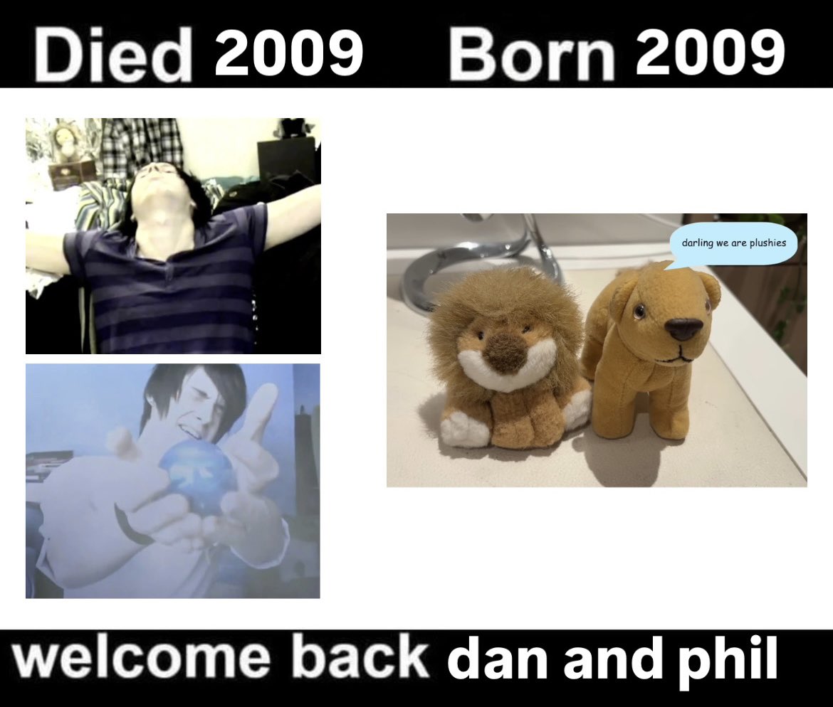 alex 🐌 tweet media