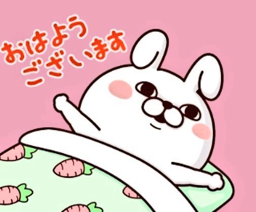 🐰ノッポの谷サン🐰相互フォロワーさんに感謝☺️🙏💗 tweet media