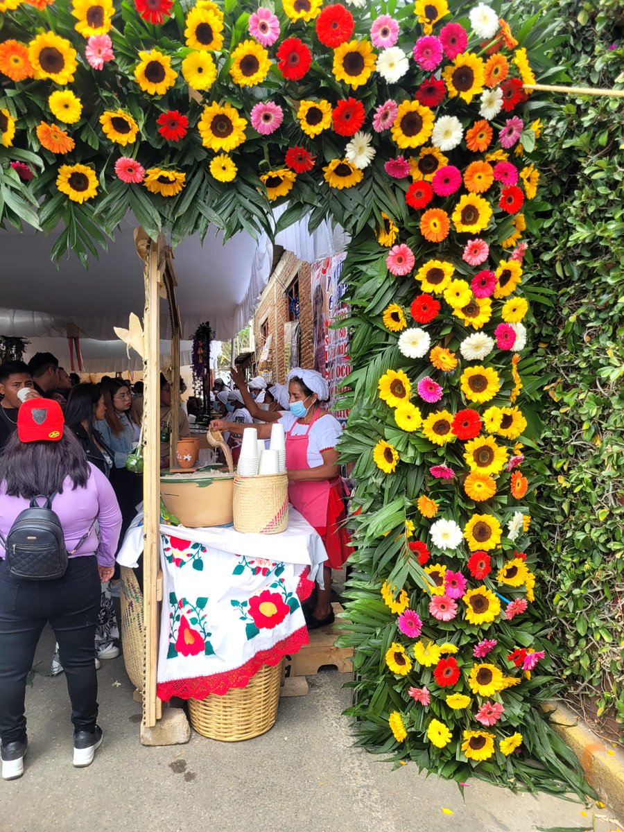 Susana Harp Iturribarría tweet media