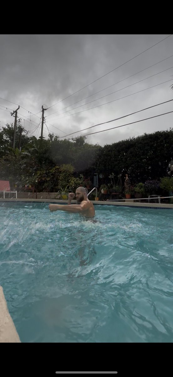 Jiri BJP Prochazka tweet media