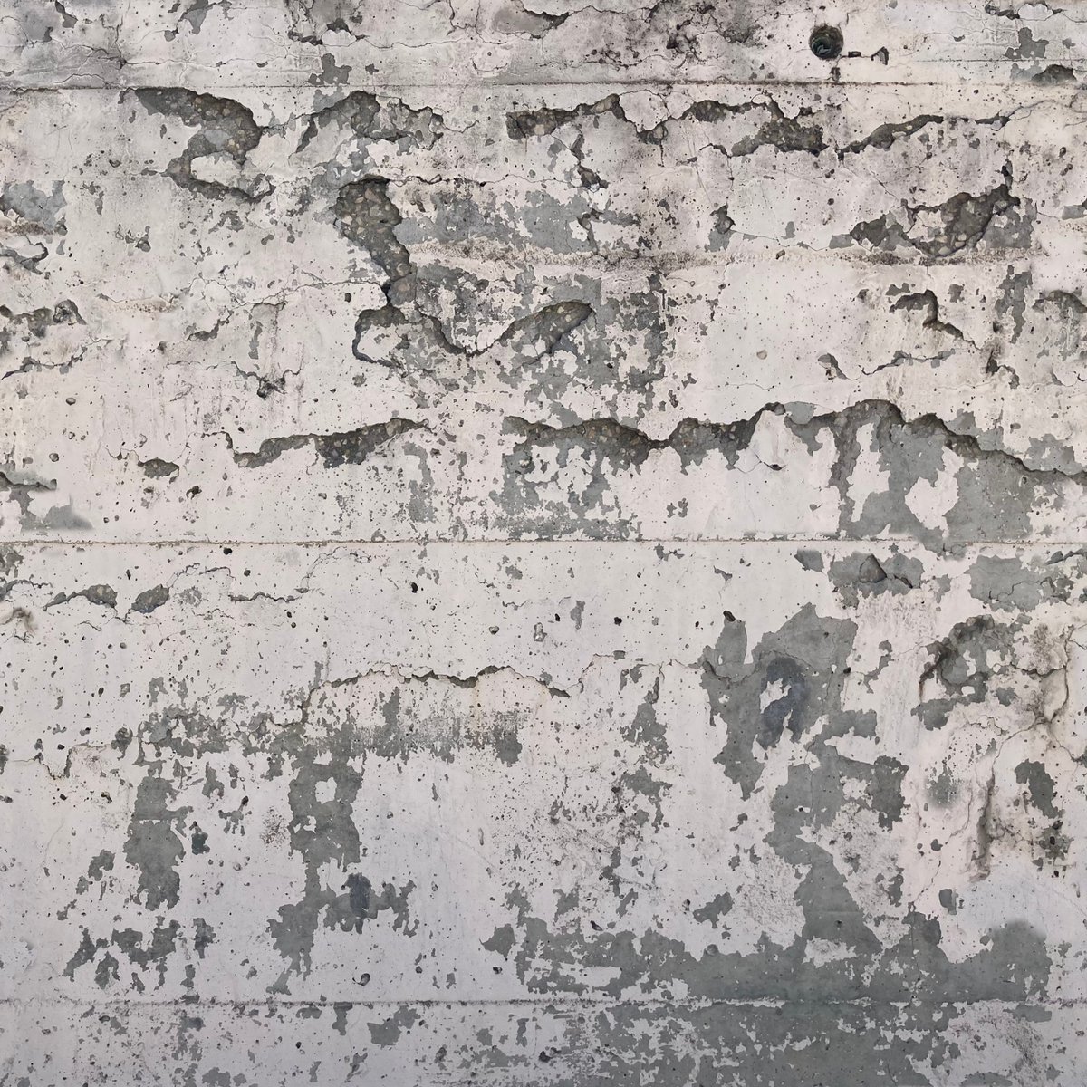 Luis G. Bento // tweet media