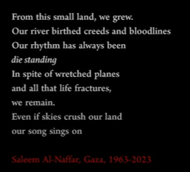 Flifferty Flafferty ☘️ tweet media