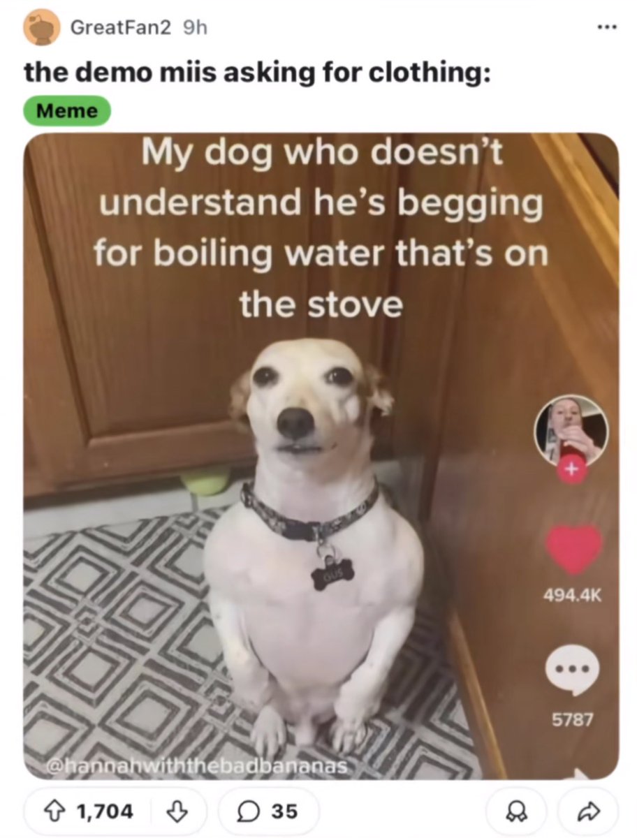 luna🔻 tweet media