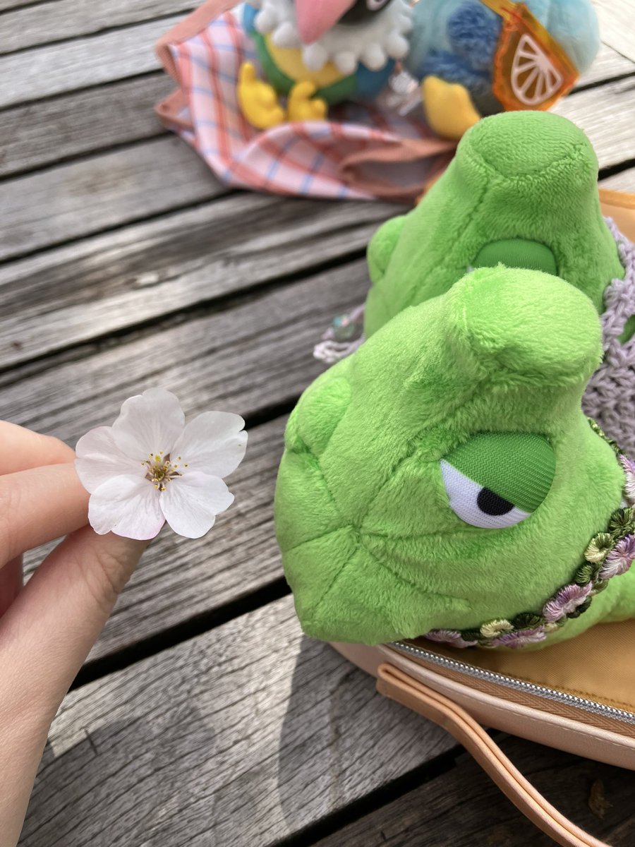 いぬこ🐕相棒はトランセル tweet media