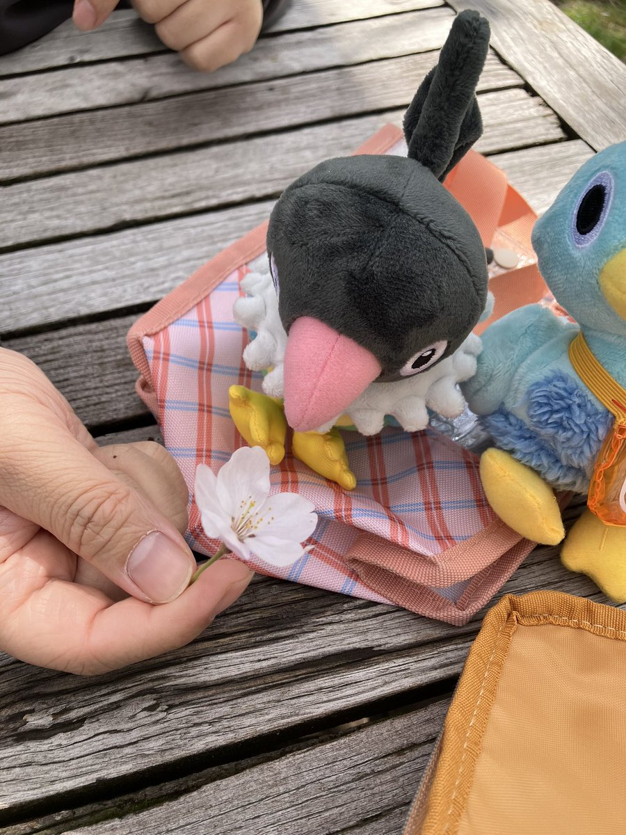 いぬこ🐕相棒はトランセル tweet media