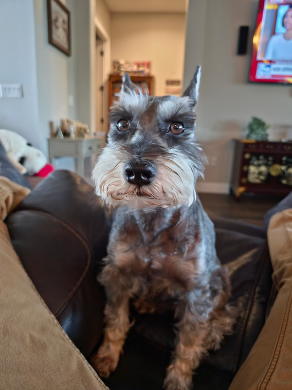 ZeroBarkThirty(2) tweet media