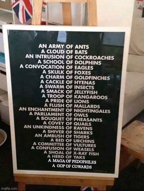 dancing in the street 🇺🇸🦅🌊🇺🇦 tweet media