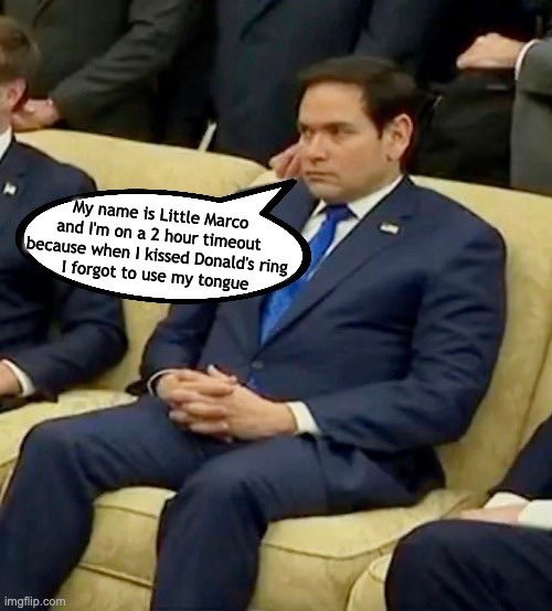 dancing in the street 🇺🇸🦅🌊🇺🇦 tweet media