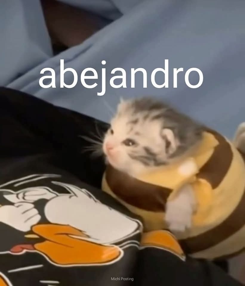 Animalitos en aprietos. tweet media