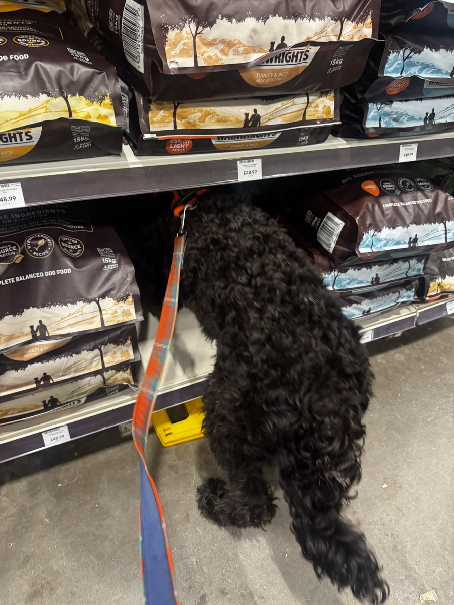 Benge & Dots tweet media