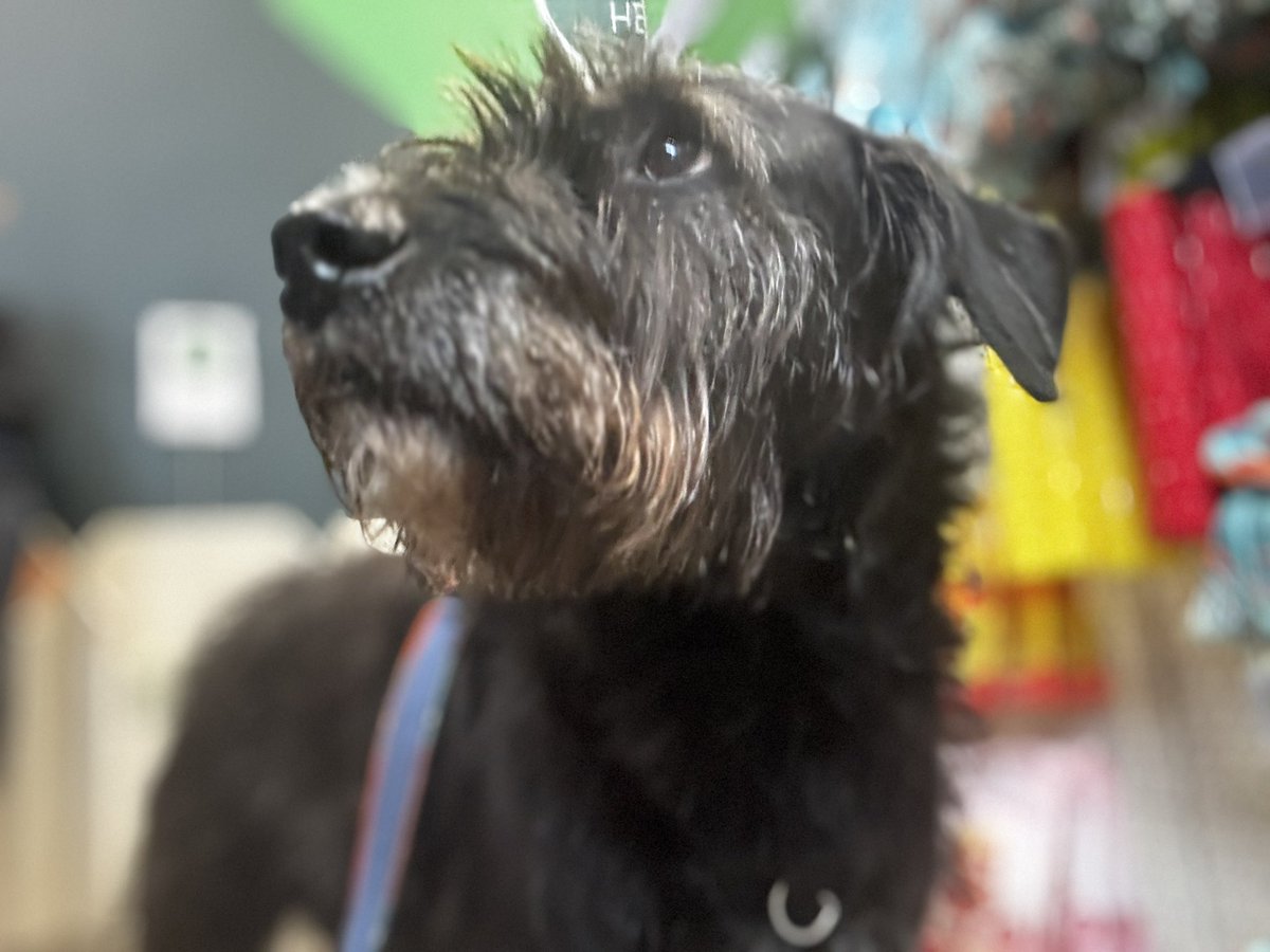 Benge & Dots tweet media