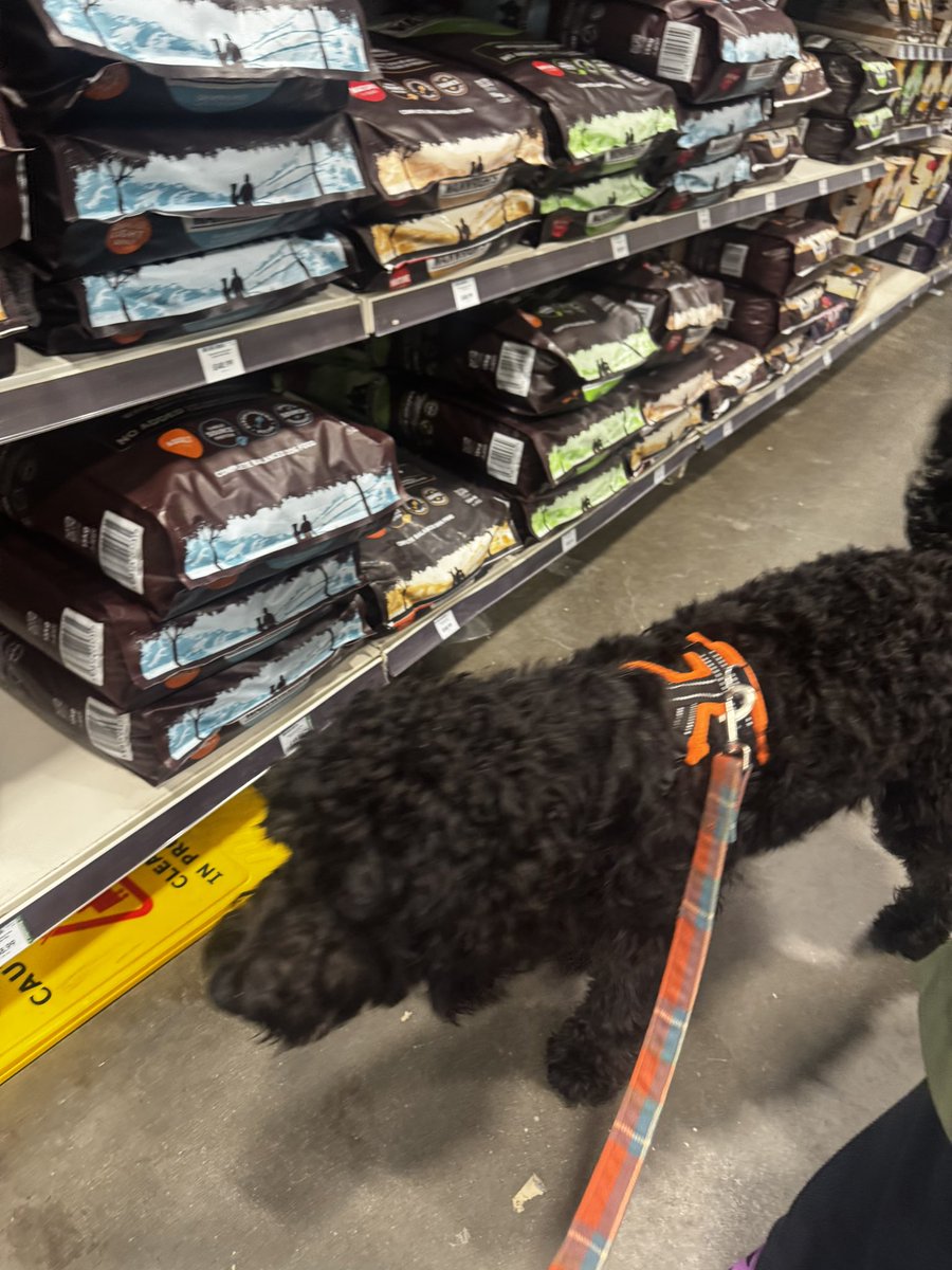 Benge & Dots tweet media