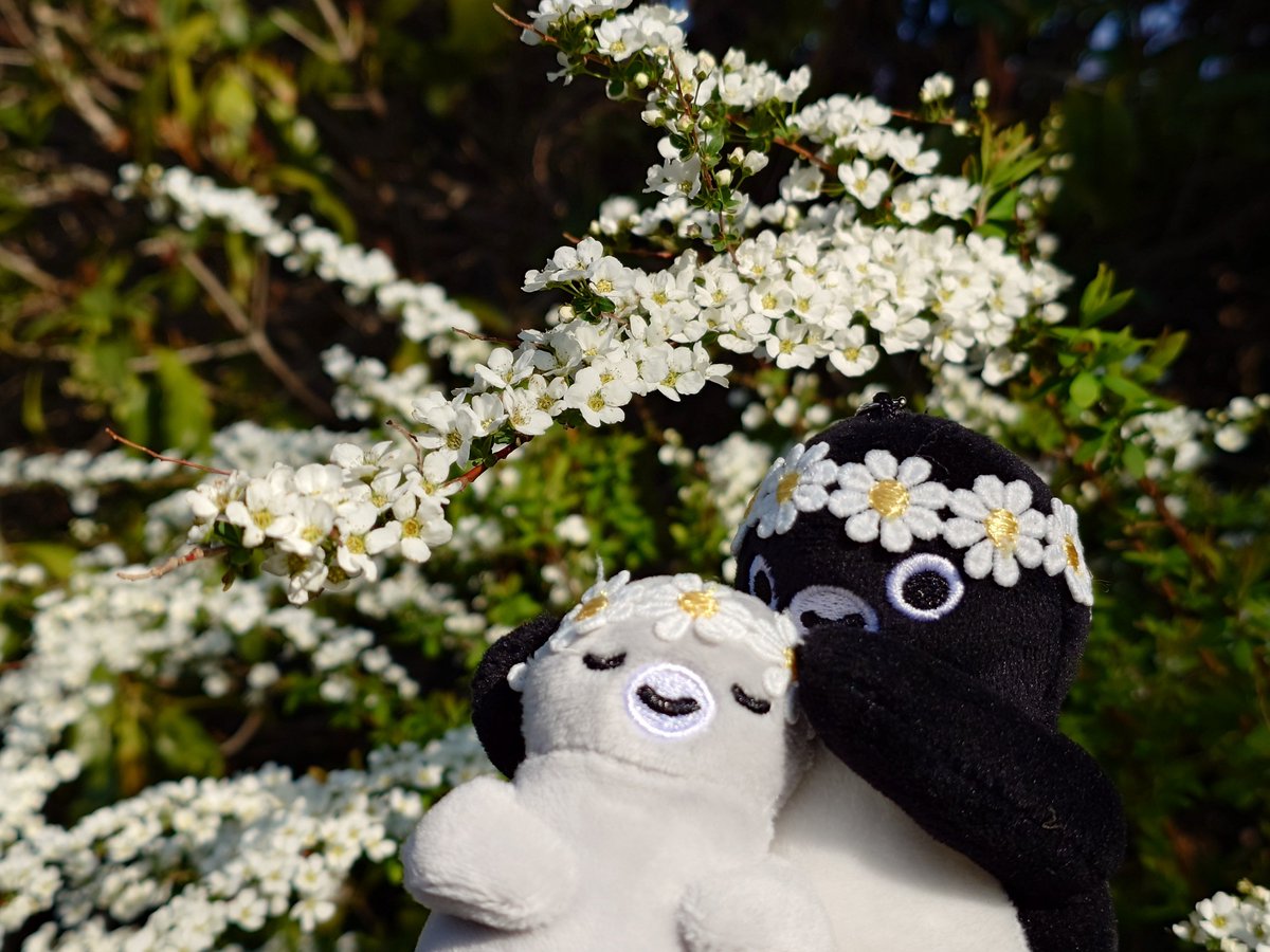 タウシュベツペンギン tweet media