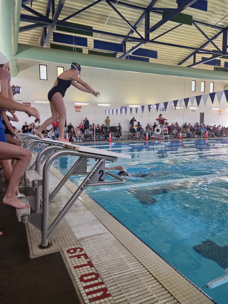 Eastwood Swimming & Diving tweet media