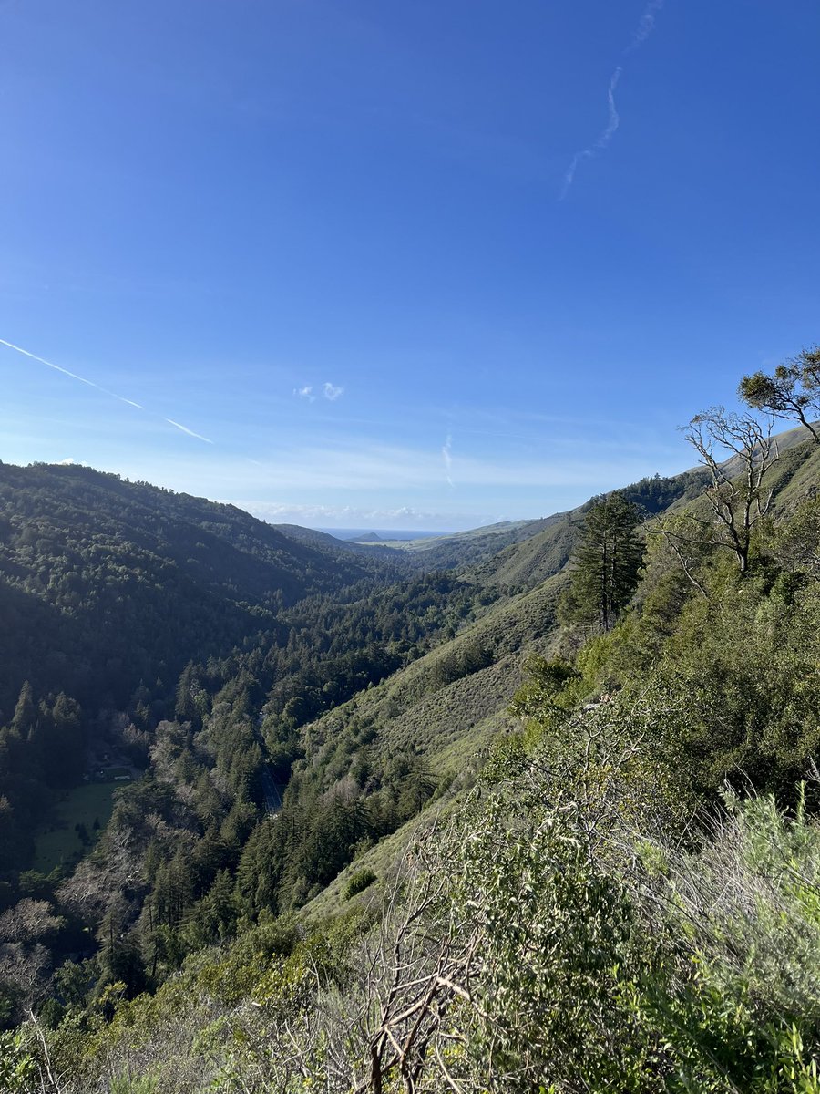 Ian Scott tweet media