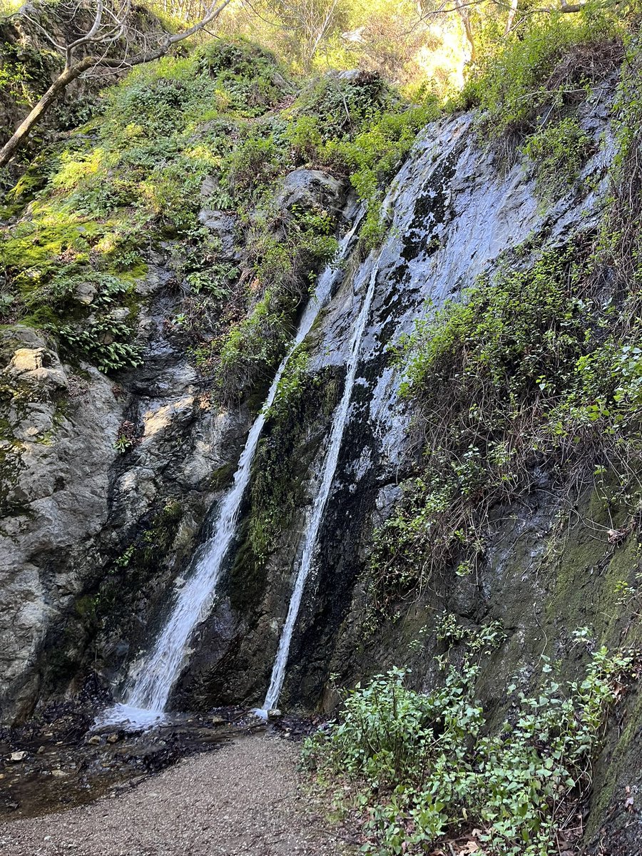 Ian Scott tweet media