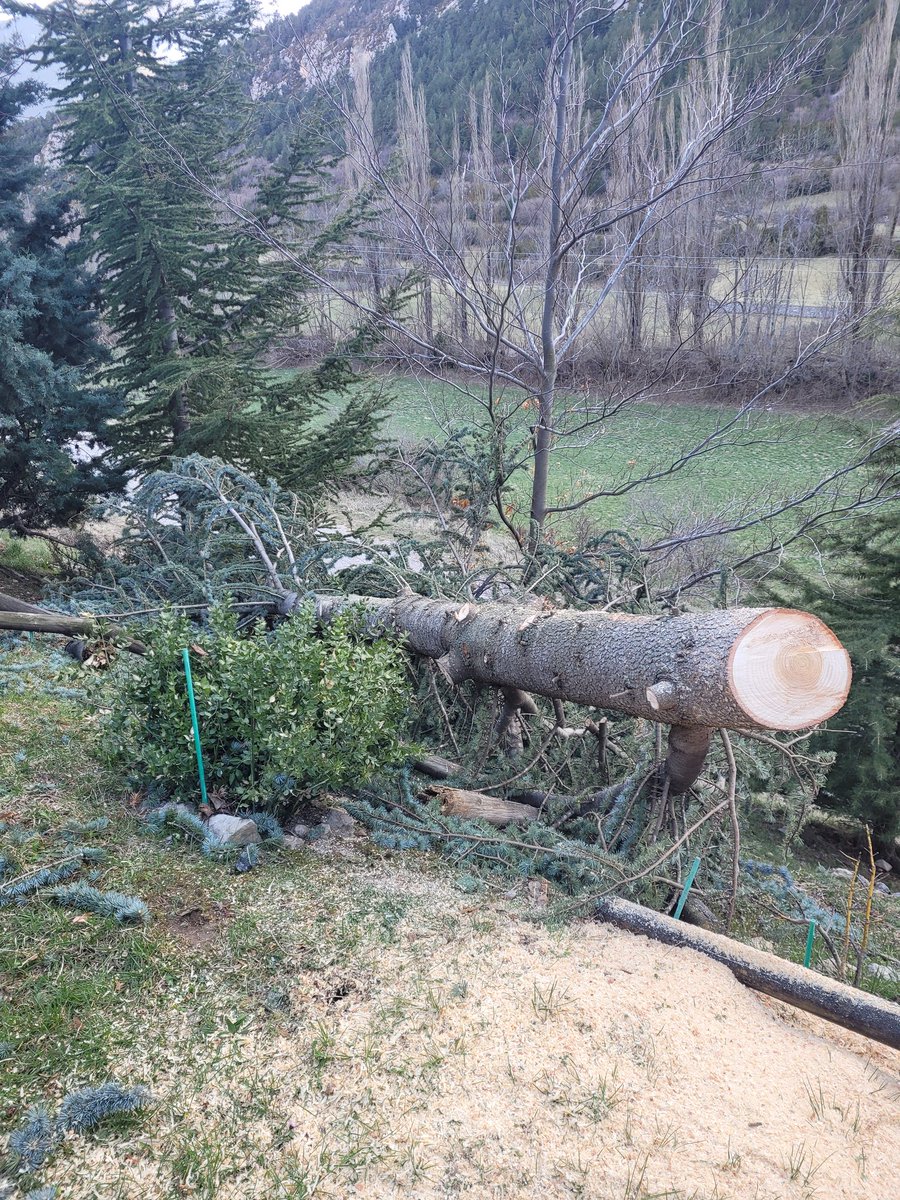 MeteoGósol tweet media