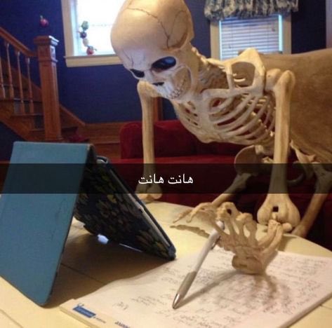 Edison🇸🇦 tweet media