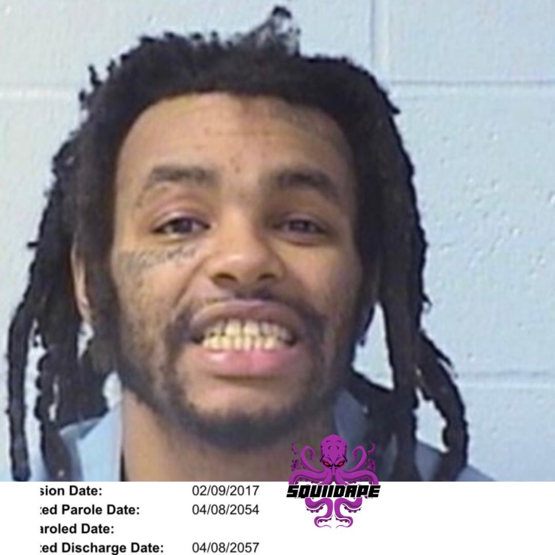 SquiidApe tweet media