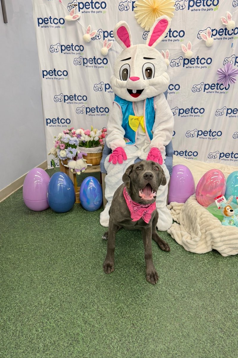 Jackie Gruber tweet media