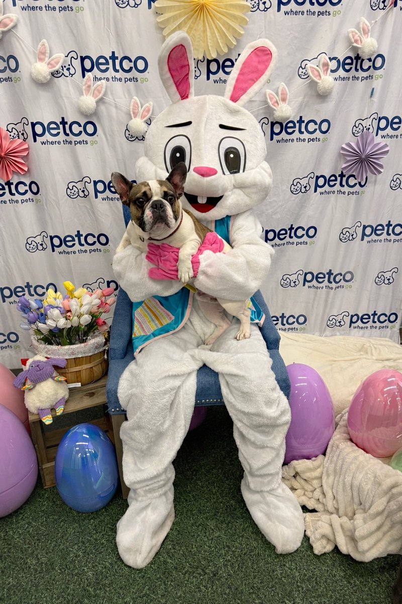 Jackie Gruber tweet media