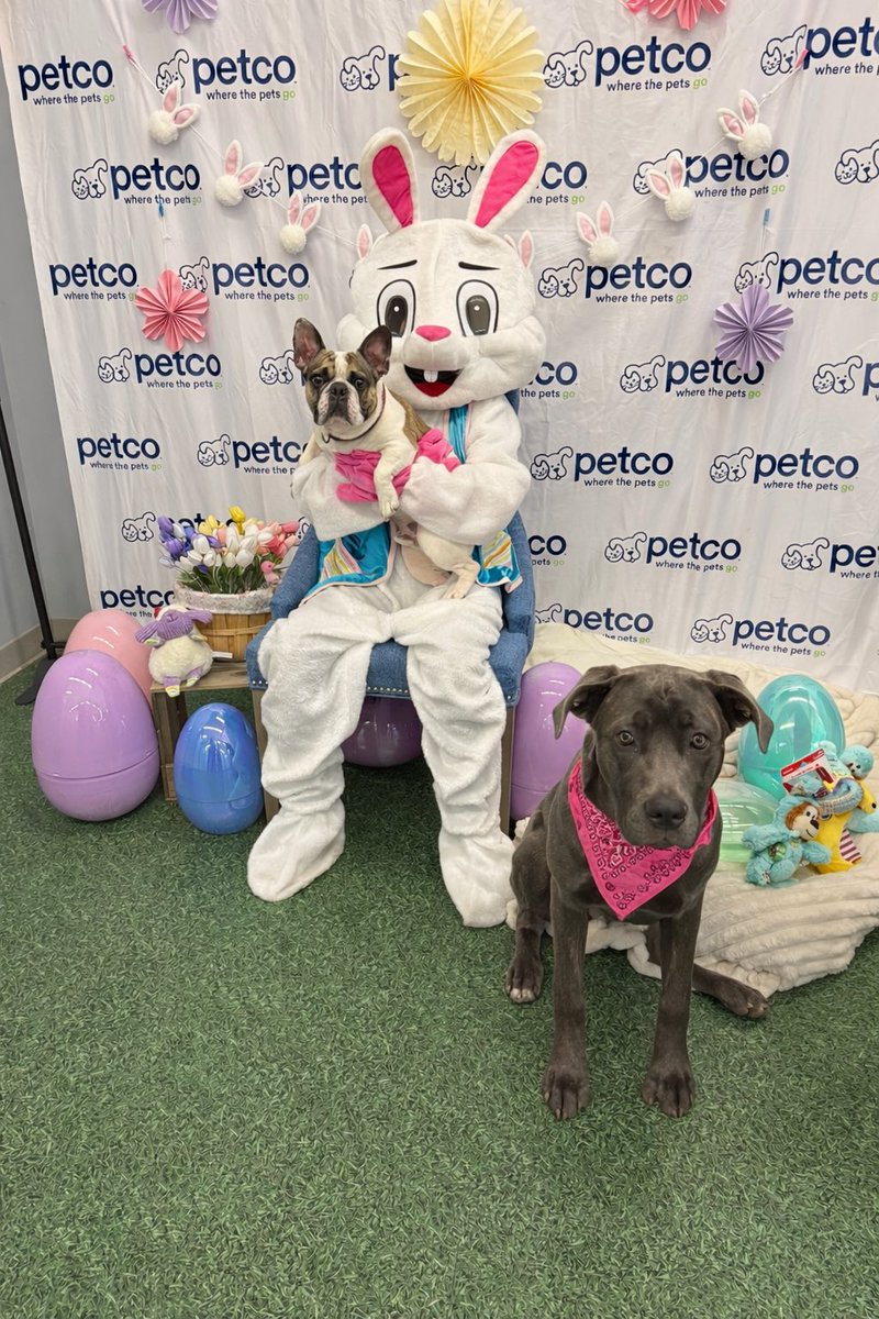 Jackie Gruber tweet media