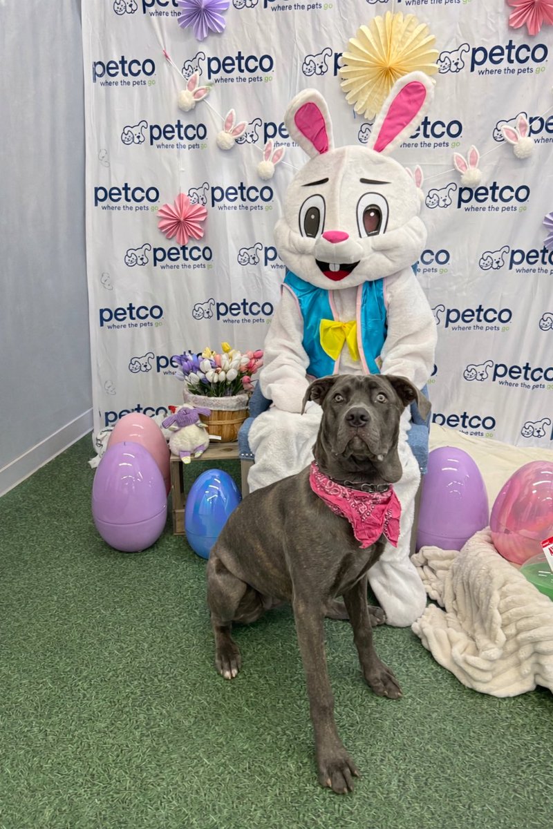 Jackie Gruber tweet media