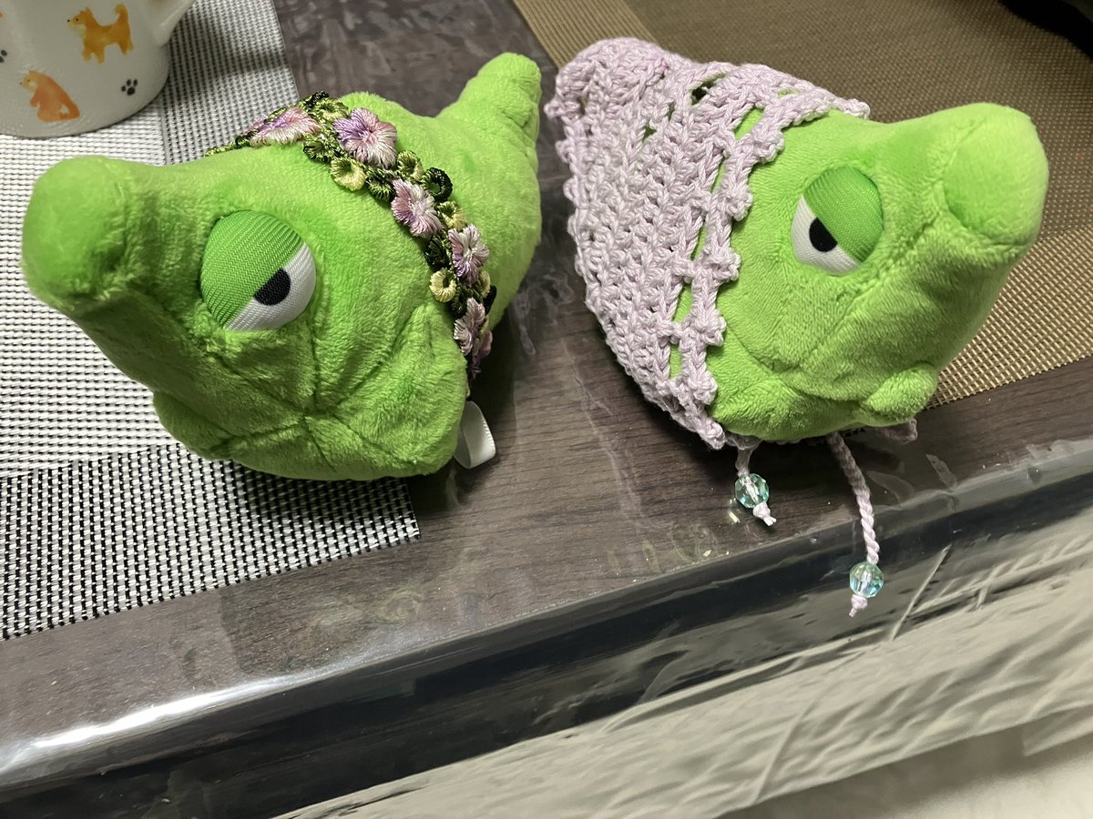 いぬこ🐕相棒はトランセル tweet media