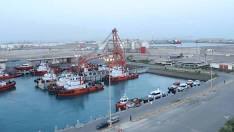 د.أحمد البدر tweet media