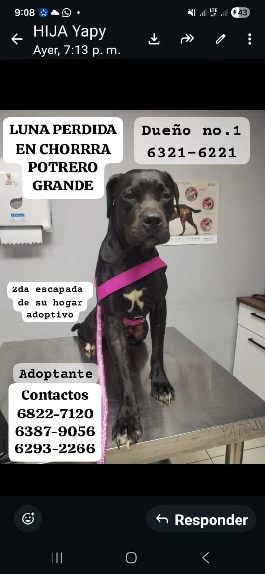 Ivette Berrio tweet media