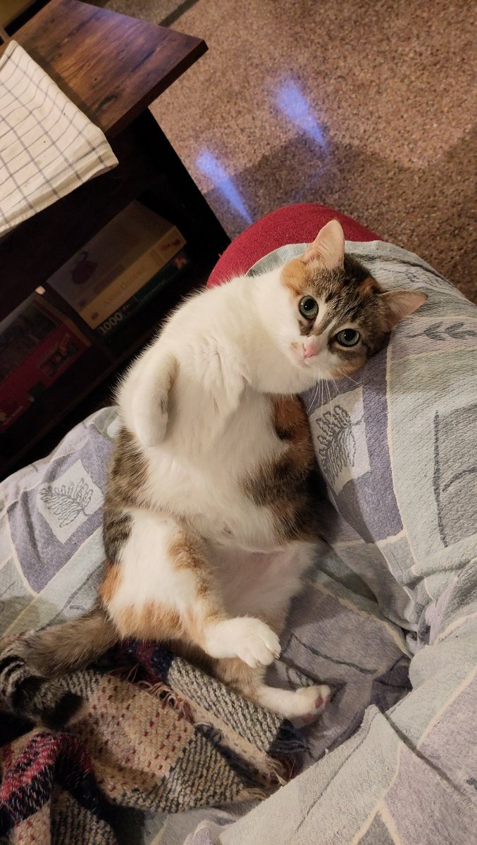 Paolo Sacco tweet media