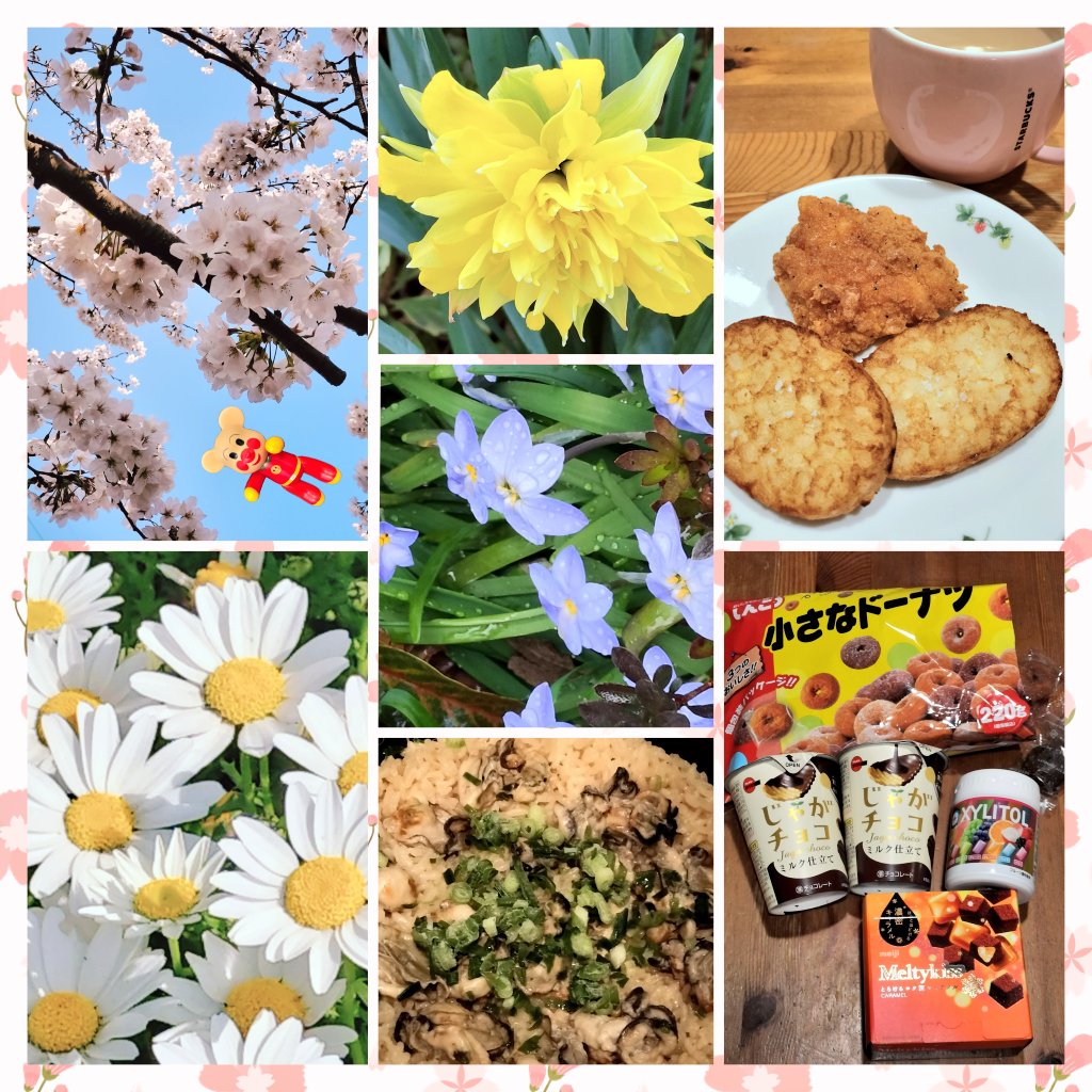 たけのっこ🌸清楚投資家 tweet media