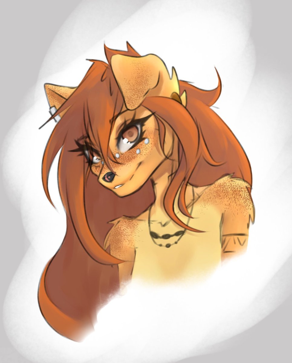 - Allfoxy tweet media