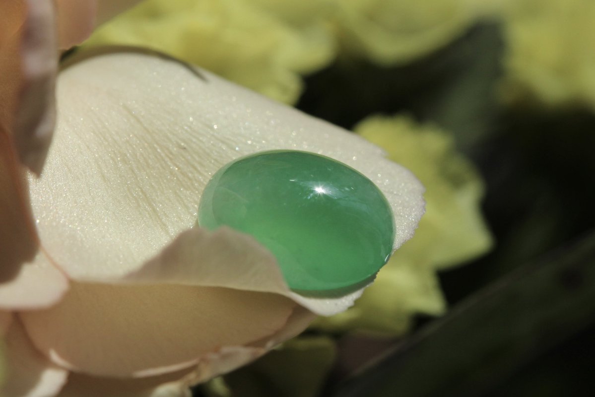 翡翠商のお店 ヤギトレーディング 2026年仙台石フリマ 3月29日（日） 出店✨ tweet media