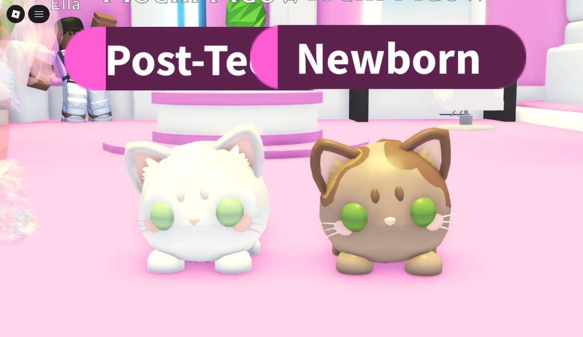 maraa 𝜗𝜚 tweet media