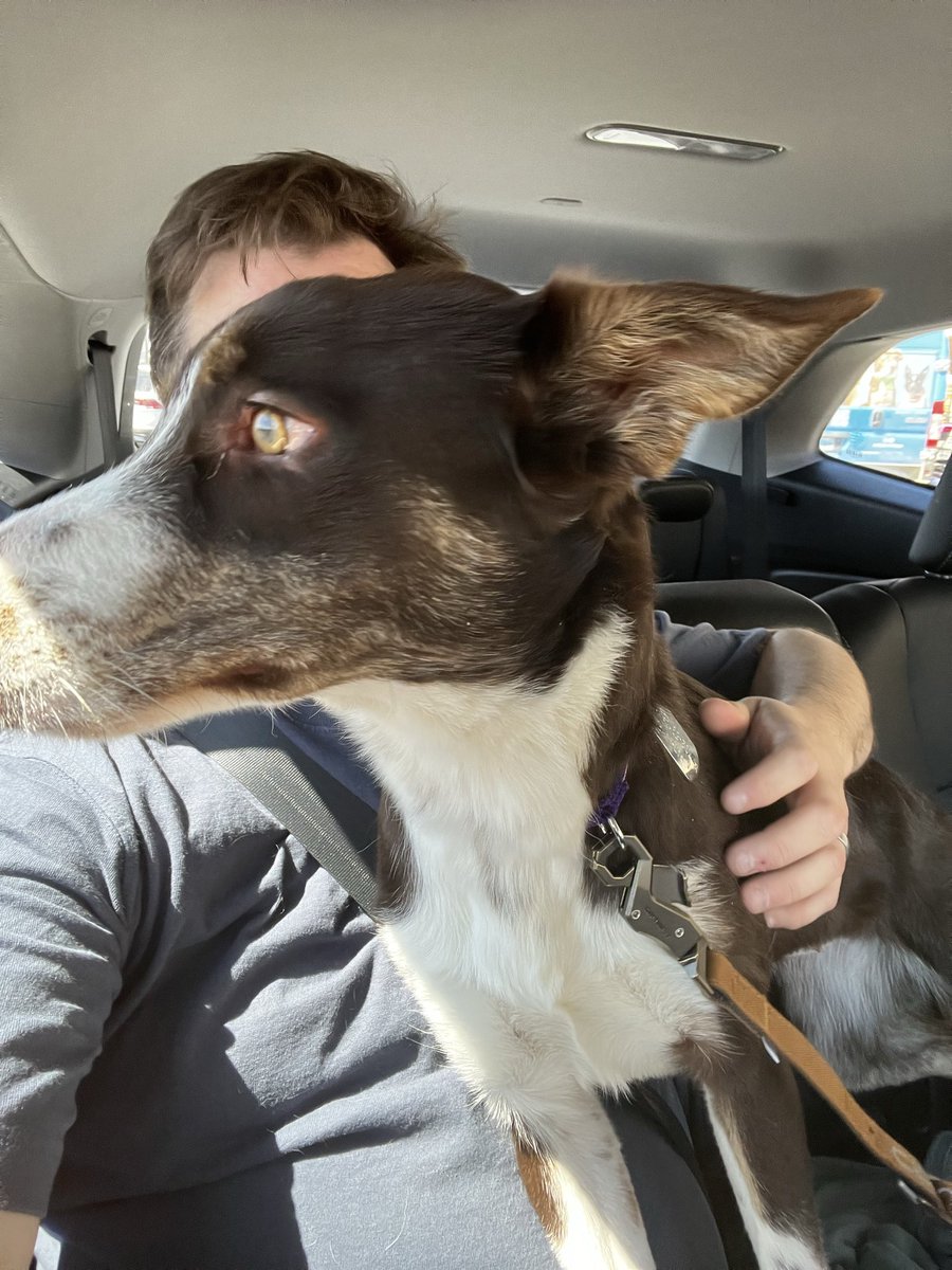 BBBubbz👨🍳😶🌫️🎮 tweet media