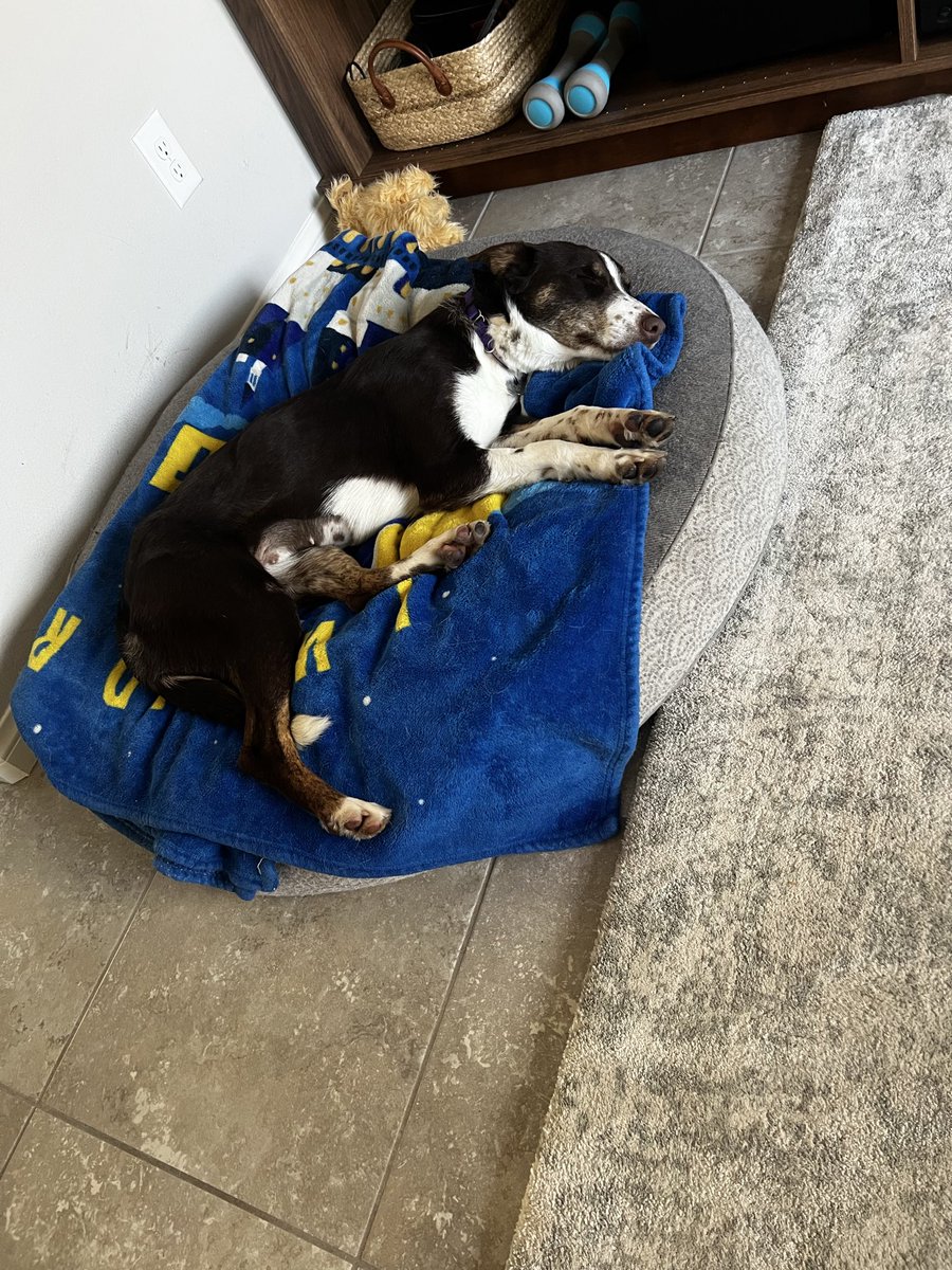 BBBubbz👨🍳😶🌫️🎮 tweet media