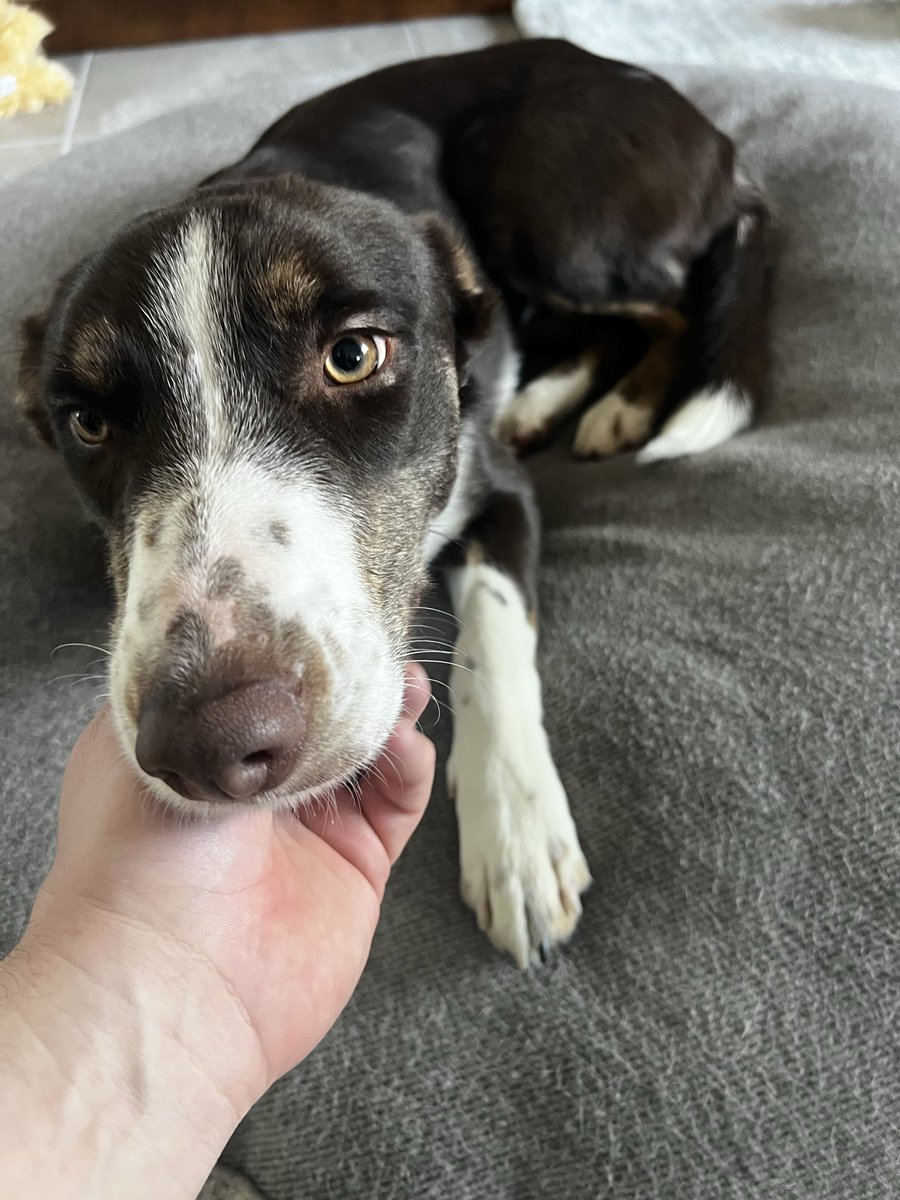 BBBubbz👨🍳😶🌫️🎮 tweet media