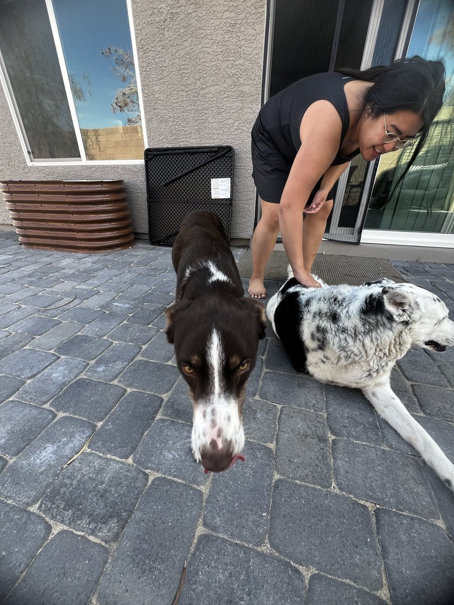 BBBubbz👨🍳😶🌫️🎮 tweet media