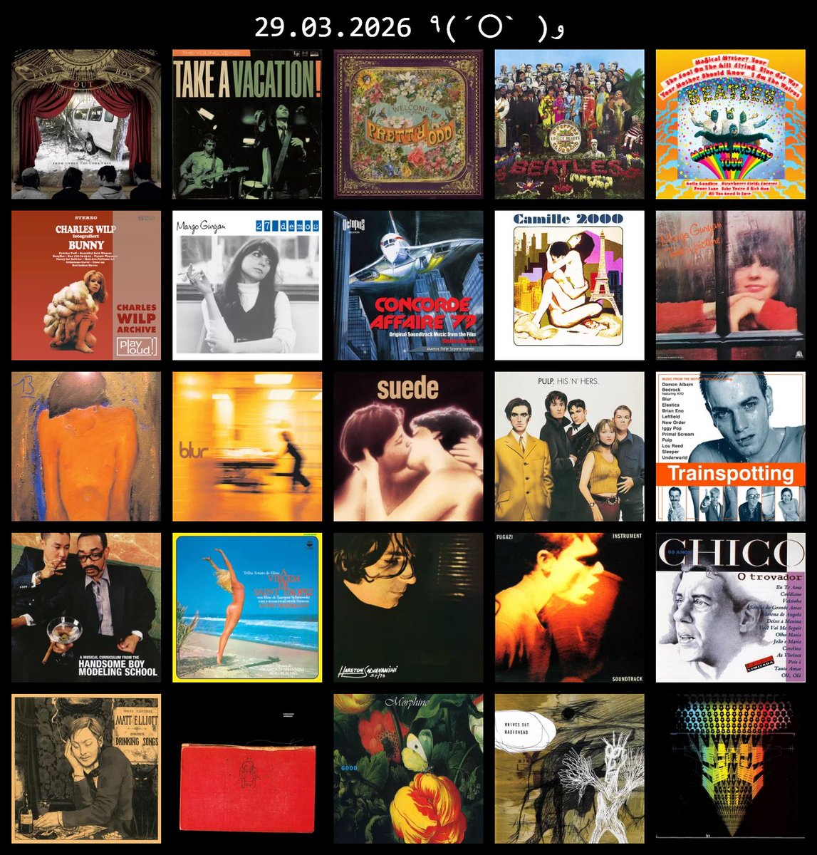 yanya 🐍 tweet media