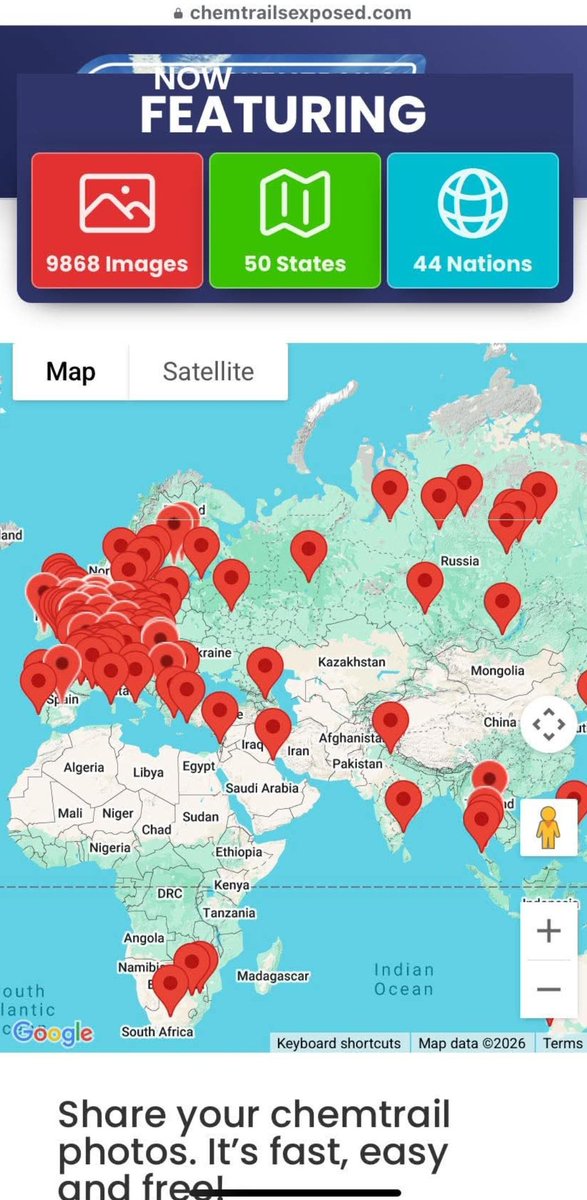 JéjéZippo 🌟 tweet media