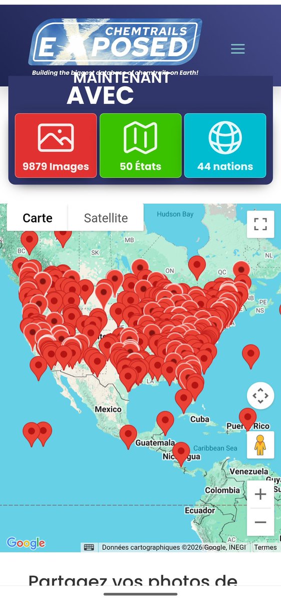 JéjéZippo 🌟 tweet media