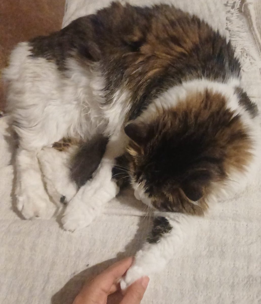 senosuke tweet media