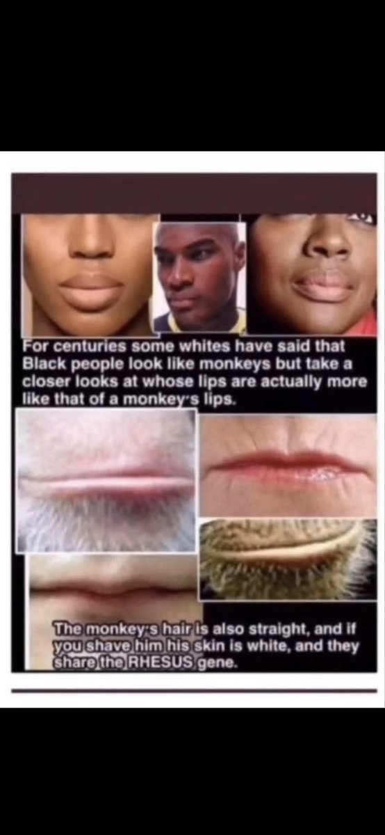 kejhshebsb tweet media