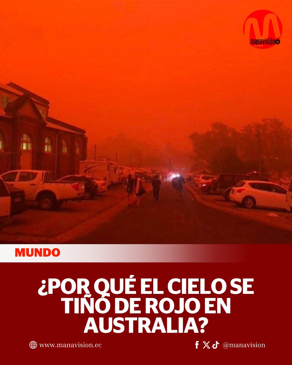 Manavisión Plus tweet media