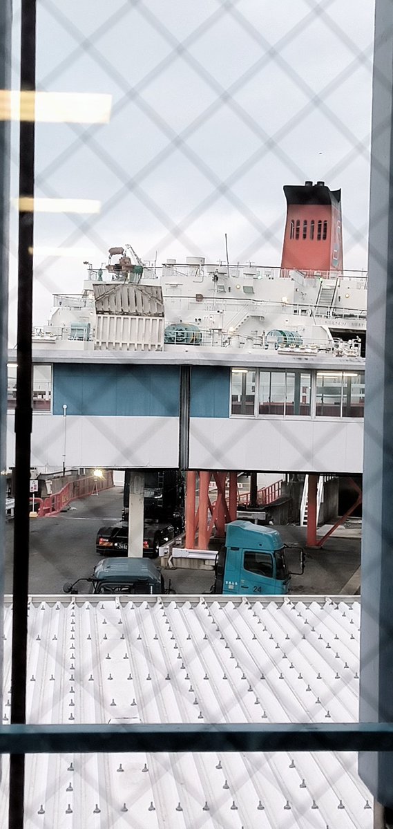 ししょー🎮🦄🍱 tweet media