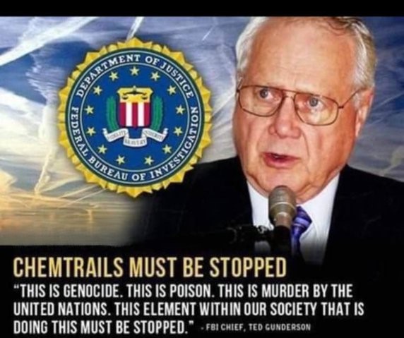 Medeea Greere tweet media