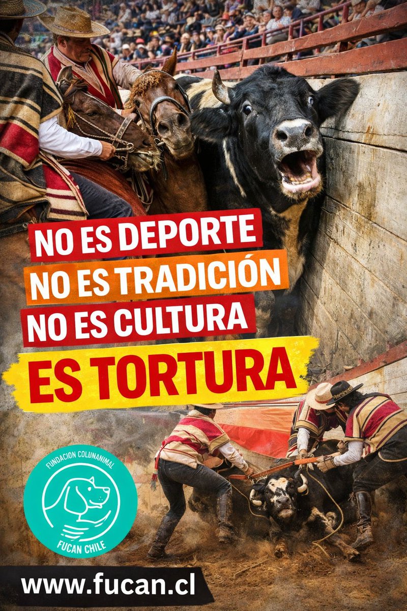 Santuariofucanchile tweet media